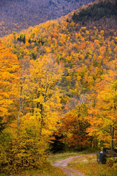 Χρυσό Φθινόπωρο Στα Βουνά Μονοπάτι Ανάμεσα Στα Όμορφα Πολύχρωμα Δέντρα — Φωτογραφία Αρχείου