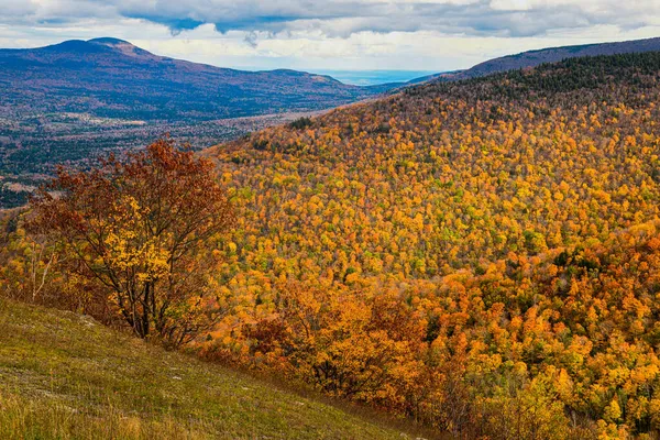 Colorful Autumn Landscape Hunter Mountain Usa — Stock Photo, Image