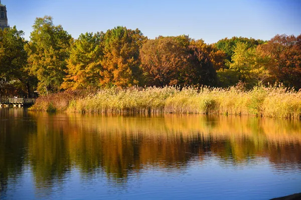 Цветной Осенний Парк Отражением Листвы Пруду — стоковое фото