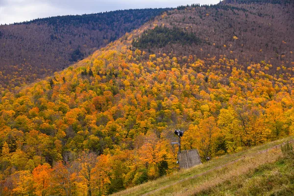 Malowniczy Krajobraz Pięknymi Kolorowymi Drzewami Górach Złota Pora Jesienna — Zdjęcie stockowe