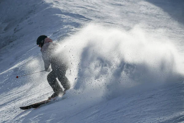 Male Skier Going Downhill High Speed Leaving Fresh Powder Snow — 图库照片