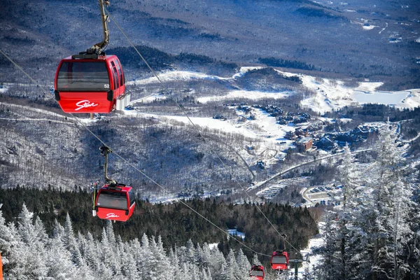 Easy Way Gondola Lift Stowe Ski Resort Vermont View Spruce — Stockfoto