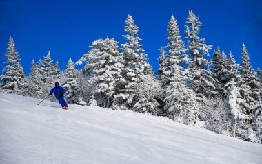 Skiing on a beautiful winter sunny day. Amazing conditions with fresh powder snow.
