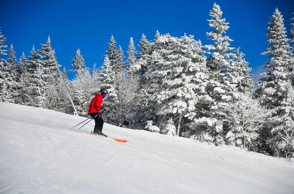 Skiing on a beautiful winter sunny day. Amazing conditions with fresh powder snow.