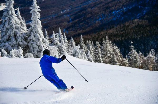 Skiing Beautiful Winter Sunny Day Amazing Conditions Fresh Powder Snow — Stock Photo, Image