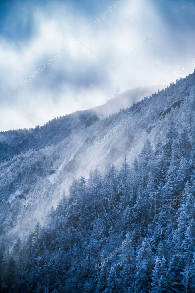Winter landscape of frozen pine trees on a side of Peak Mansfield at Stowe Mountain Resort.