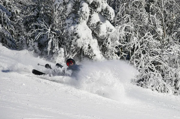 Esquiador Caído Ladera Montaña Estación Esquí — Foto de Stock