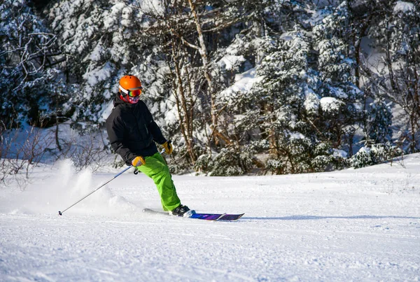 Skiing Beautiful Winter Sunny Day Amazing Conditions Fresh Powder Snow — Stock fotografie