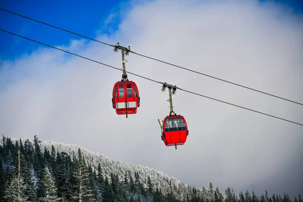 Mountain Ski Resort Gondola Winter Landscape Pine Trees Covered Snow — 图库照片