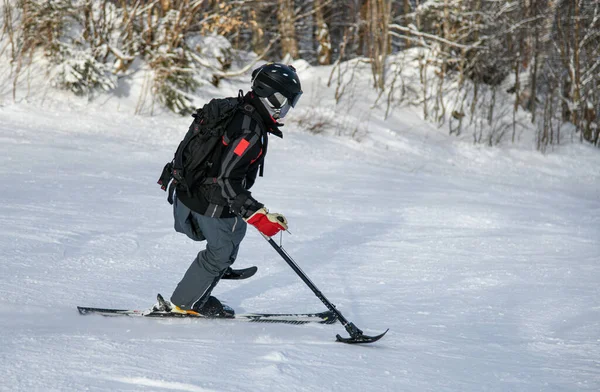 Adaptive Skiing One Leg Disabled Ski Racer Three Tracker One — Zdjęcie stockowe