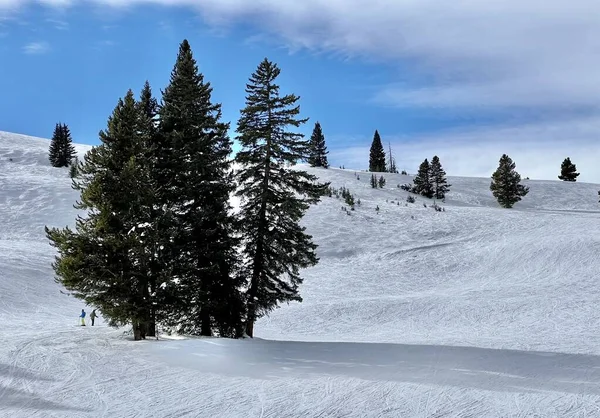 Skidåkning Vacker Solig Dag Vintersemester Vail Ski Resort Colorado — Stockfoto