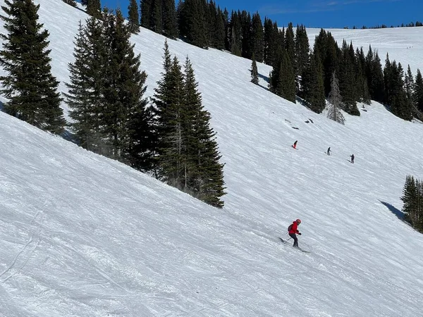 Skier Skiing Downhill Sunny Day High Mountains — Stock Photo, Image