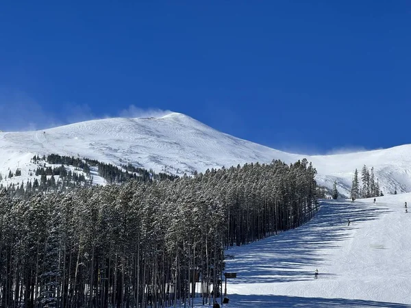 Χειμερινά Βουνά Και Πεύκα Ηλιόλουστη Χειμωνιάτικη Μέρα Στο Κολοράντο Βραχώδη — Φωτογραφία Αρχείου