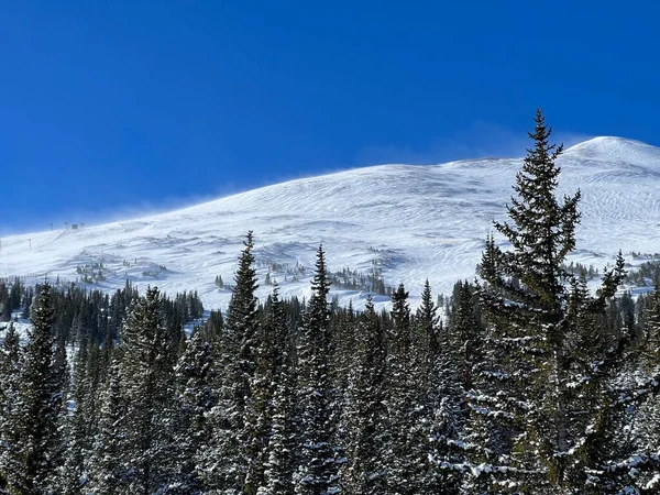 Zimowe Góry Sosny Słoneczny Dzień Zimowy Kolorado Stany Zjednoczone Krajobraz — Zdjęcie stockowe