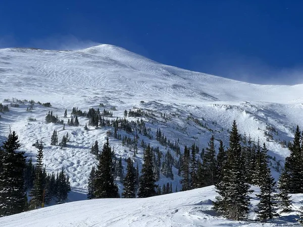 冬の山や松の木 アメリカ合衆国コロラド州の晴れた冬の日 ロッキー山脈の風景 — ストック写真