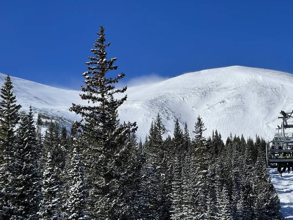 Montagne Invernali Pini Sunny Winter Day Colorado Stati Uniti Montagne — Foto Stock