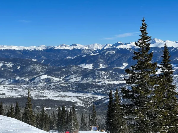 冬の山や松の木 アメリカ合衆国コロラド州の晴れた冬の日 ロッキー山脈の風景 — ストック写真