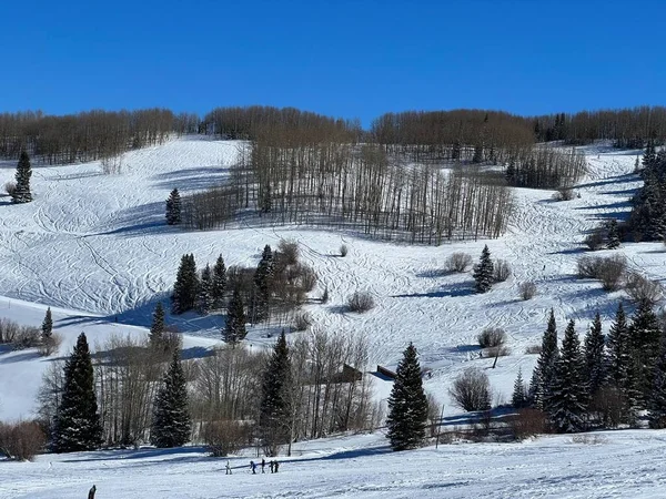 雪の斜面や森林と冬の風景 — ストック写真