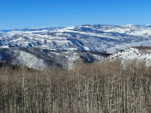 Bellissimo Paesaggio Invernale Colorado Montagne Alberi — Foto Stock