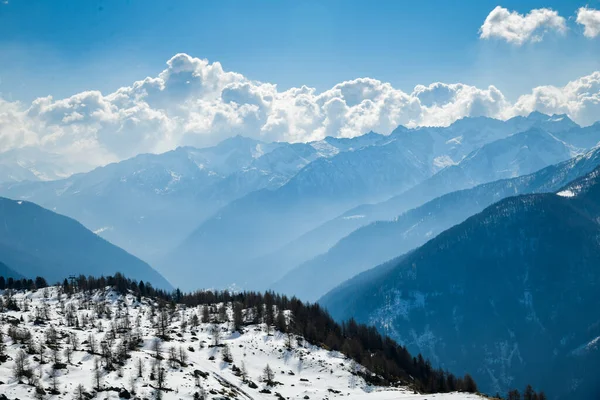 Pejo Ski度假村阳光灿烂的一天 意大利Val Sole山谷令人惊奇的顶部景色 — 图库照片