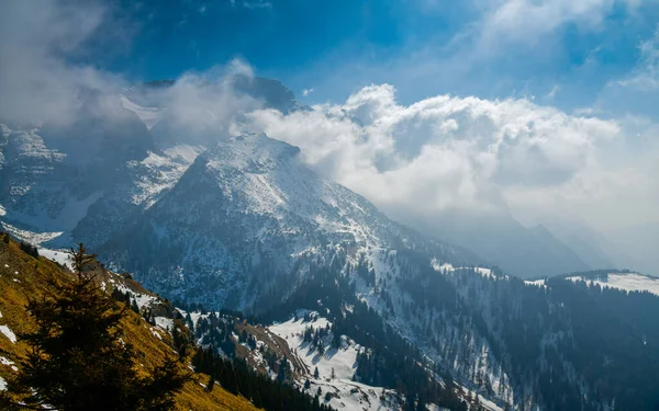意大利北部阿尔卑斯山特伦蒂诺Val Rendena的Pinzolo Ski度假村冬季奇景 — 图库照片
