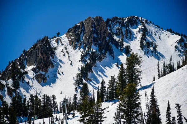 Gyönyörű Táj Snowbasin Ski Resort Utah Hegyek Hóval Fenyőfákkal Borítva — Stock Fotó