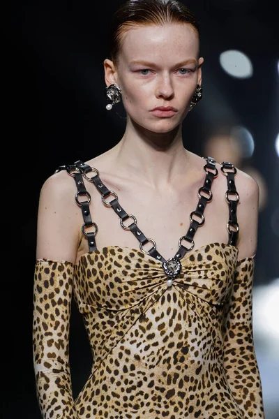 Milan Italy February Model Walks Runway Roberto Cavalli Fashion Show — 스톡 사진