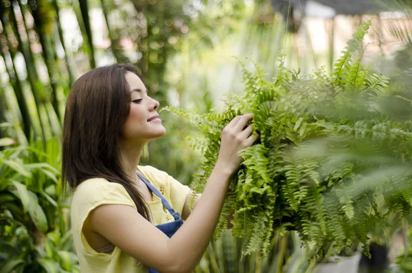 Jardineiro feminino bonito que arranja algumas plantas para a exposição — Fotografia de Stock