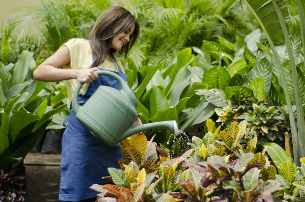 Jovem jardineiro fêmea regando as plantas — Fotografia de Stock