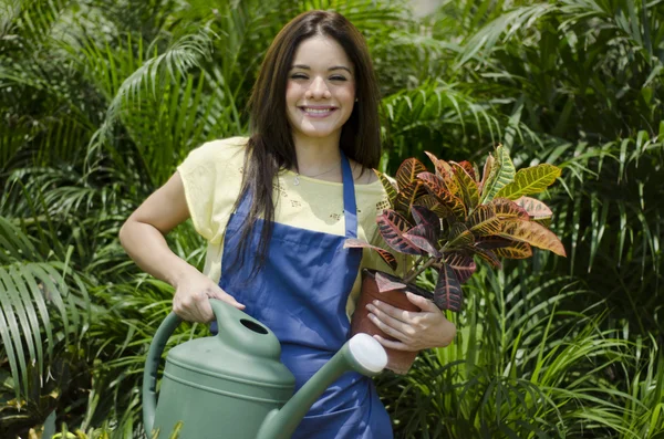 Carino giovane giardiniere femminile in piedi nel frutteto con vaso da fiori e annaffiatoio — Foto Stock