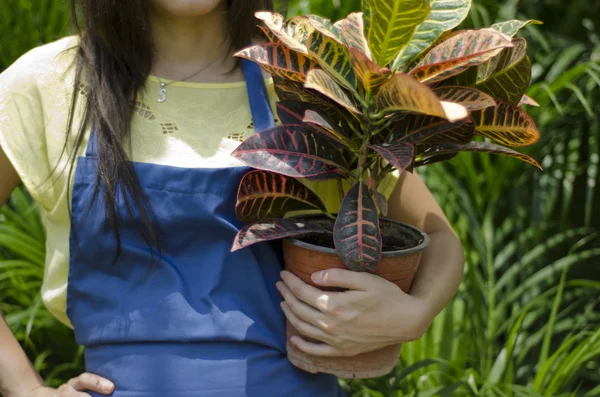 Um tiro sem cabeça de mulher em pé no pomar com vaso de flores — Fotografia de Stock