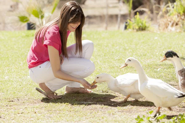 Ördek ve kazlar besleme kız — Stok fotoğraf