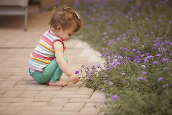 Kleine meisje plukken blauwe bloemen — Stockfoto