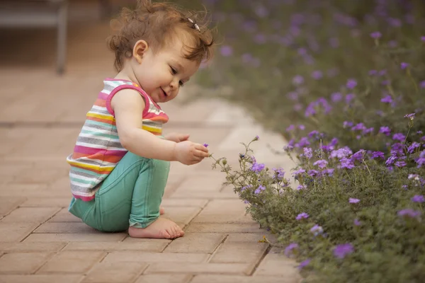 Liten flicka plockning blå blommor — Stockfoto