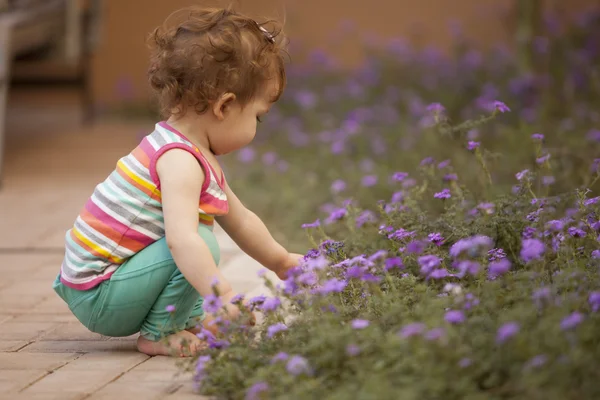 Kleine meisje plukken blauwe bloemen — Stockfoto