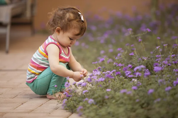 Kleine meisje plukken blauwe bloemen — Stockfoto