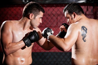 her maçta karşı karşıya iki genç boksörler