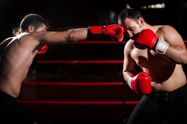 her maçta karşı karşıya iki genç boksörler