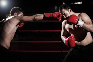 her maçta karşı karşıya iki genç boksörler