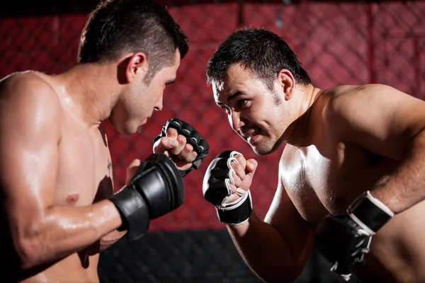 Two young boxers facing each other in a match — Stock Photo, Image