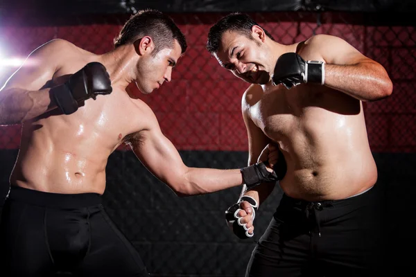 Dos jóvenes boxeadores enfrentados en un partido — Foto de Stock