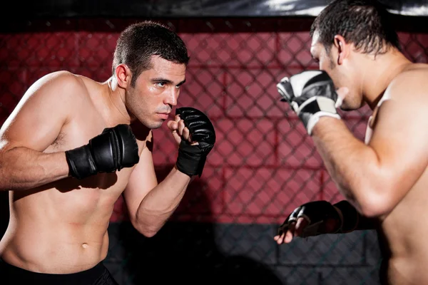 Two young boxers facing each other in a match — Stock Photo, Image