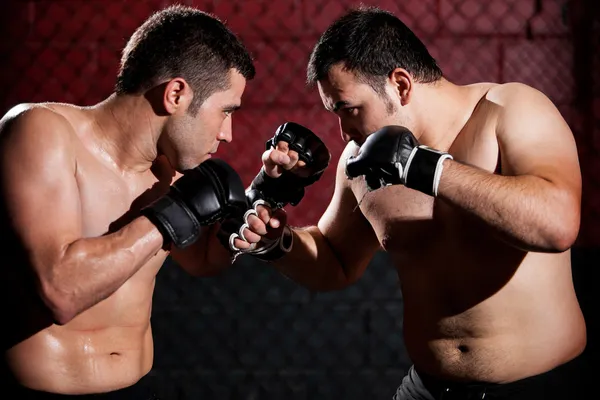 Dois jovens boxers se enfrentando em um jogo — Fotografia de Stock