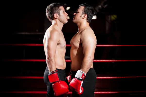 Two young boxers facing each other in a match — Stock Photo, Image
