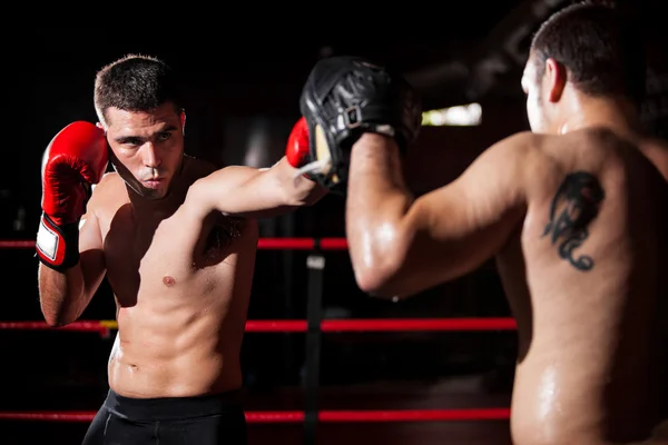 Two young boxers facing each other in a match — Stock Photo, Image