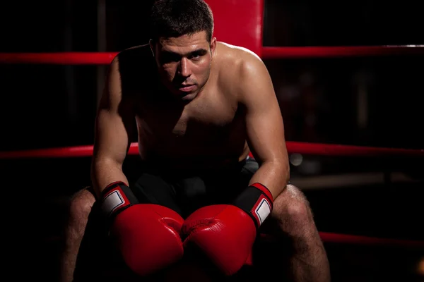 Jovem lutador Boxer — Fotografia de Stock