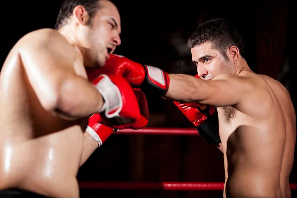 Two young boxers facing each other in a match Royalty Free Stock Images