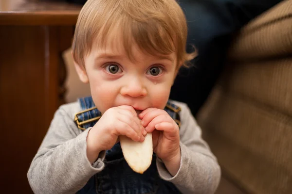 Baby boy eating bread — Stock Photo, Image