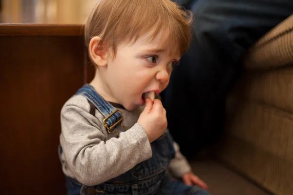 Baby boy eating bread — Stock Photo, Image