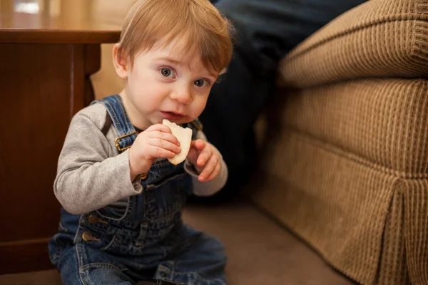 Baby boy eating bread — Stock Photo, Image